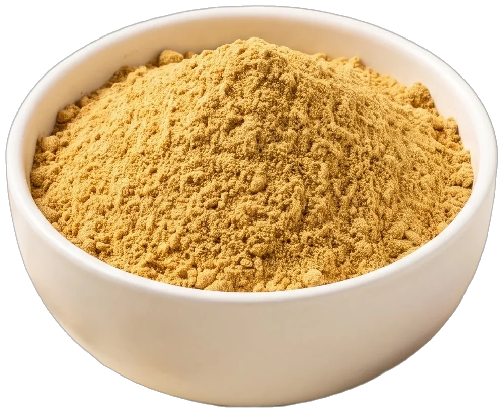 Ground Ginger & Dried Rhizomes